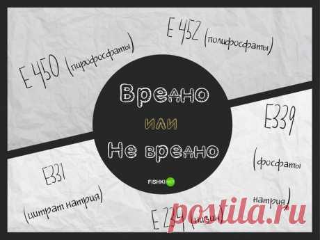Поймёт только химик: что за добавки входят в состав наших продуктов питания