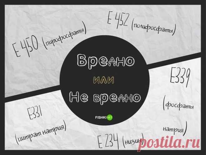 Поймёт только химик: что за добавки входят в состав наших продуктов питания