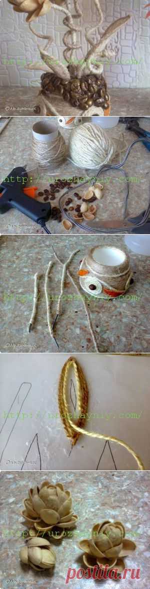 Топиарий из фисташек | Урожайная дача