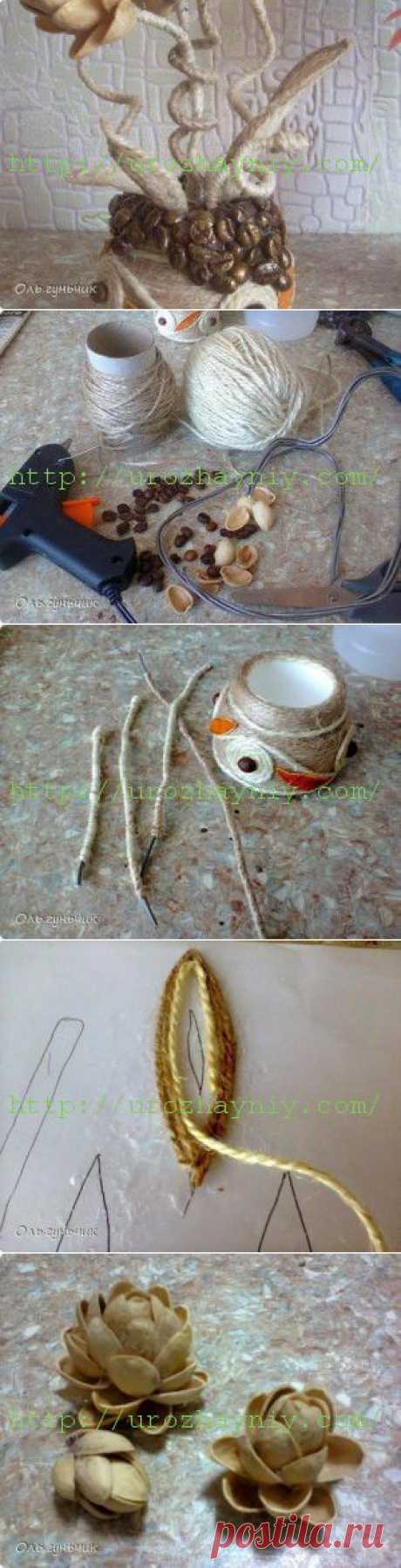 Топиарий из фисташек | Урожайная дача