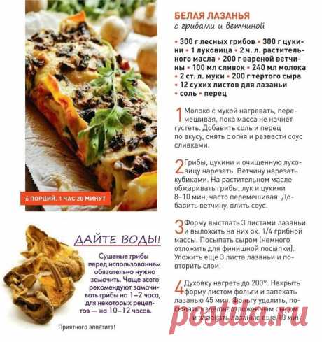 Белая лазанья с грибами и ветчиной