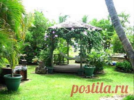 Заботимся о сердце | Советы Народной Мудрости