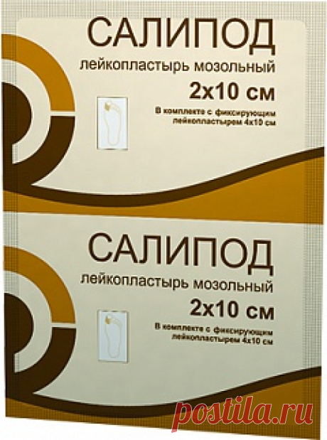 Салипод