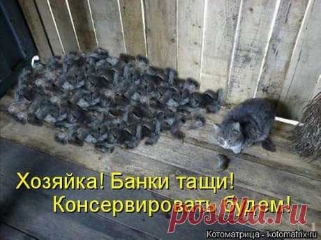 пп