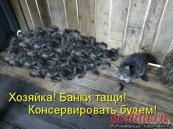 пп