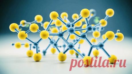 Химический состав клетки. Органические вещества. Липиды.