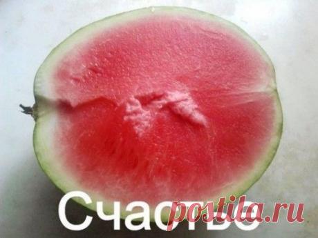 Шутить люблю