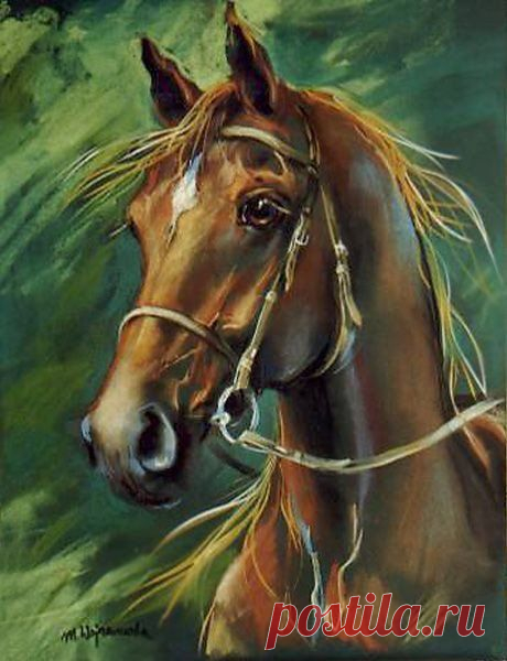 Художник Maja Wojnarowska / Удивительное искусство