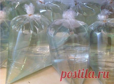 Легко избавиться от мух

Не думала, что всё настолько просто!

Мухи создают много проблем в доме. Они, конечно, не кусают людей, но являются разносчиками различных вредоносных микроорганизмов. Мы предлагаем безобидный, но очень эффективный способ, который поможет избавиться от мух в доме. В отличие от магазинных средств он является не вредным как для мух, так и для людей. Для того чтобы избавиться от мух, не нужно много затрат и времени.
Тебе понадобятся:
прозрачный целлоф...