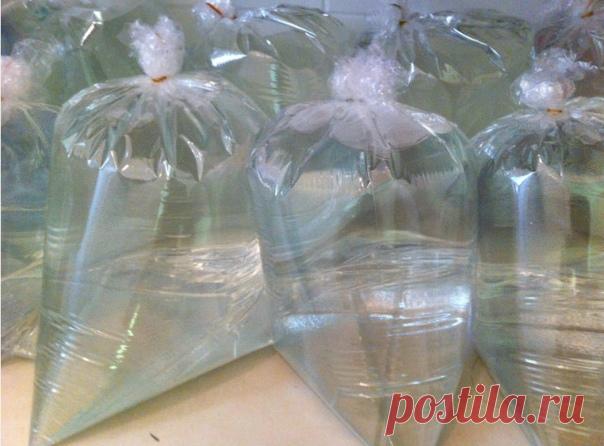 Легко избавиться от мух

Не думала, что всё настолько просто!

Мухи создают много проблем в доме. Они, конечно, не кусают людей, но являются разносчиками различных вредоносных микроорганизмов. Мы предлагаем безобидный, но очень эффективный способ, который поможет избавиться от мух в доме. В отличие от магазинных средств он является не вредным как для мух, так и для людей. Для того чтобы избавиться от мух, не нужно много затрат и времени.
Тебе понадобятся:
прозрачный целлоф...