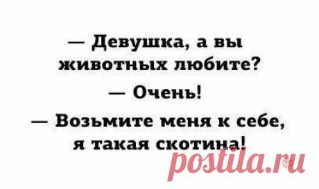 Илья Шалинков