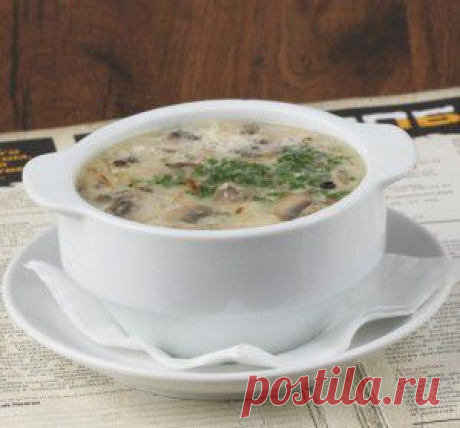 Сырный суп с фрикадельками и грибами | Моя кулинарная книга