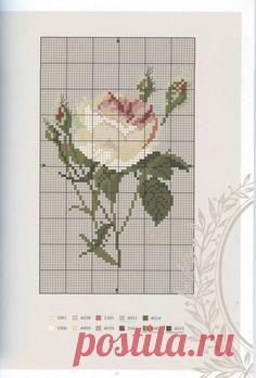 Схема розы для вышивки крестиком бисером