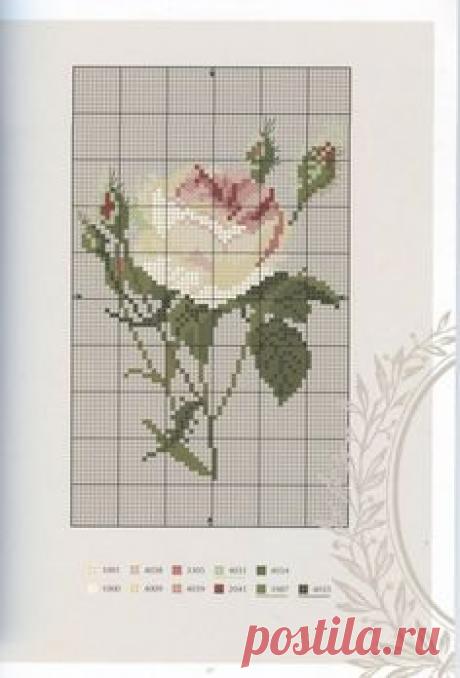 Схема розы для вышивки крестиком бисером