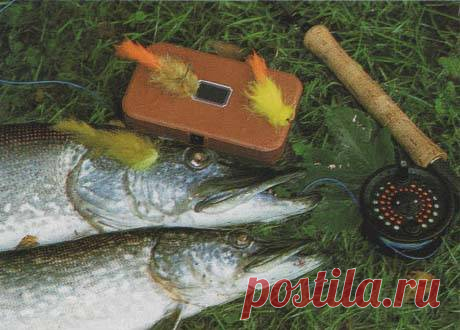 Чудо-приманка Щуки всех размеров буквально сходят с ума по мягкой полоске из заячьего или кроличьего меха. Они неустанно гоняются за ней, пока не попадут на крючок. Бернд Кулейса решил поделиться с читателями соображениями по поводу своего «чудо-оружия» под названием стример Pike Bunny...