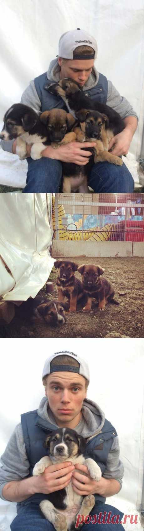 #BigSochi2014 | Щеночки нашли хозяина