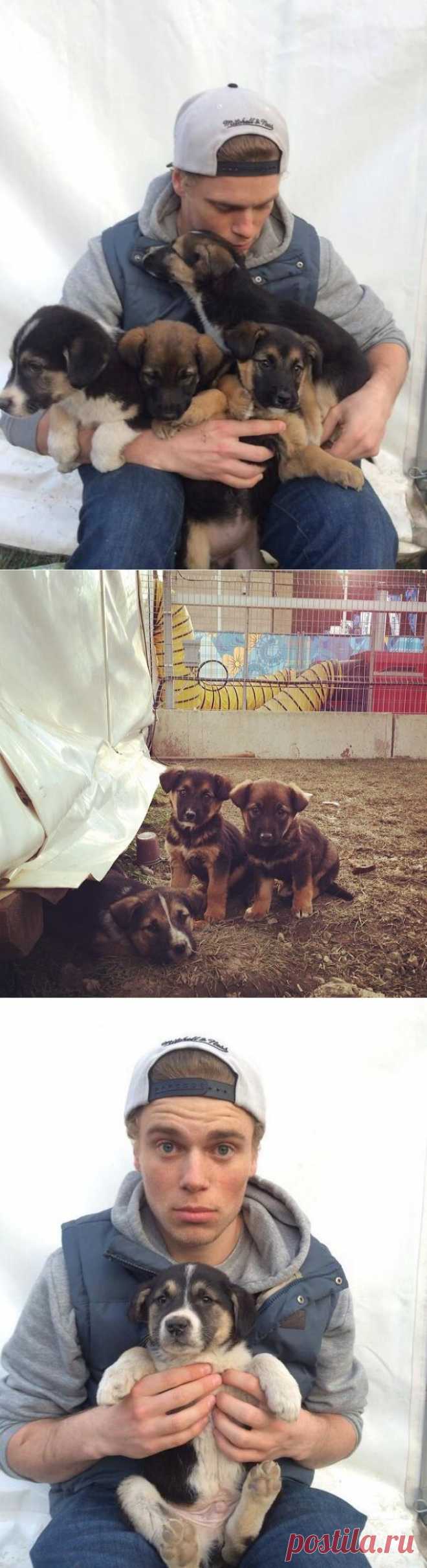 #BigSochi2014 | Щеночки нашли хозяина