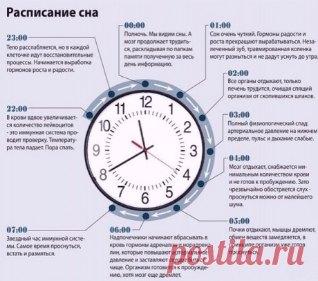 хх