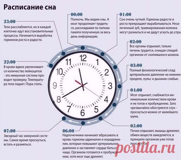 хх