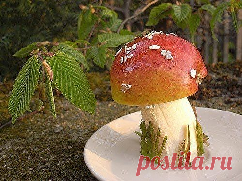 Бананово-яблочный грибочек.