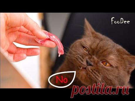 Мясо просто ХИТ, просто тает во рту! А коту не зашло. Бефстроганов по-домашнему - YouTube Чтобы приготовить бефстроганов: 
Говядина – 500 г (у меня шейная часть)
Лук – 1 шт.
Чеснок – 1 зубчик
Мука – 1 ст.л. 
Сметана 20% - 100 г
Сливочное масло – 10-20 г
Кетчуп – 2-3 ст.л. (можно заменить томатной пастой 0,5 ст.л.)
Вода – 100 мл (регулируйте густоту подливки по своему вкусу)
Соль – 0,5 ч.л. (вкусу)
Черный молотый перец – по вкусу