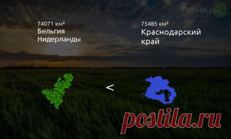 Сколько в России Германий Франций и Испаний