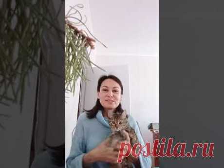 И да пребудет с нами Любовь..