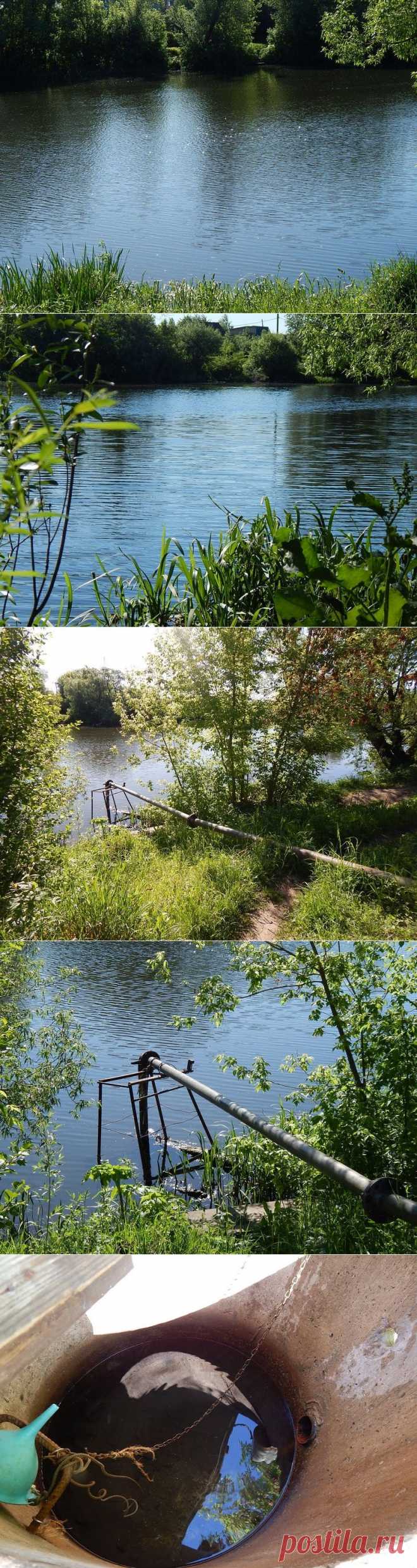 Конкурс «Вода на даче» на 7dach.ru - Поливайте огород он: ведь тоже воду пьет!

Дача наша стоит на берегу реки Оки, поэтому это для нас постоянный источник воды для полива.
