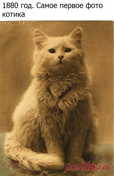 :3