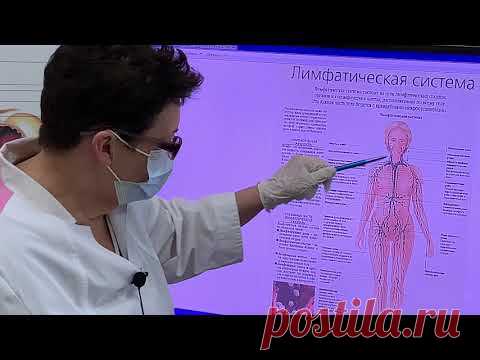 Изменение  чувствительности в теле, нарушение сердечного ритма и мозгового кровообращения