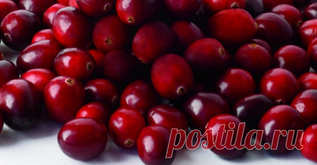Осенние продукты, которые помогут сохранить здоровье и красоту / Домоседы