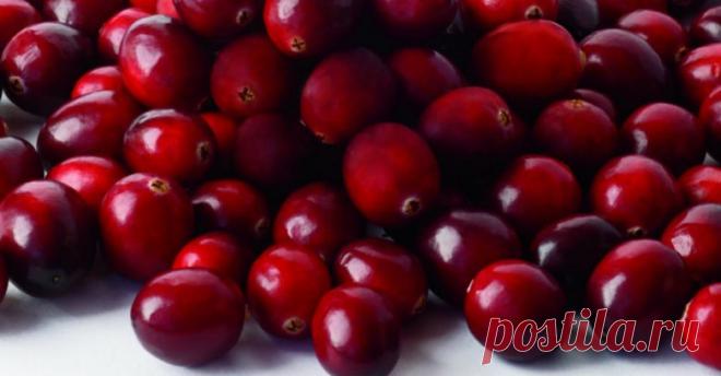 Осенние продукты, которые помогут сохранить здоровье и красоту / Домоседы