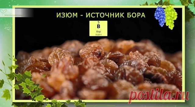 Изюмная вода натощак – что произойдёт с телом, если пить её каждый день. Рецепт :: Polismed.com