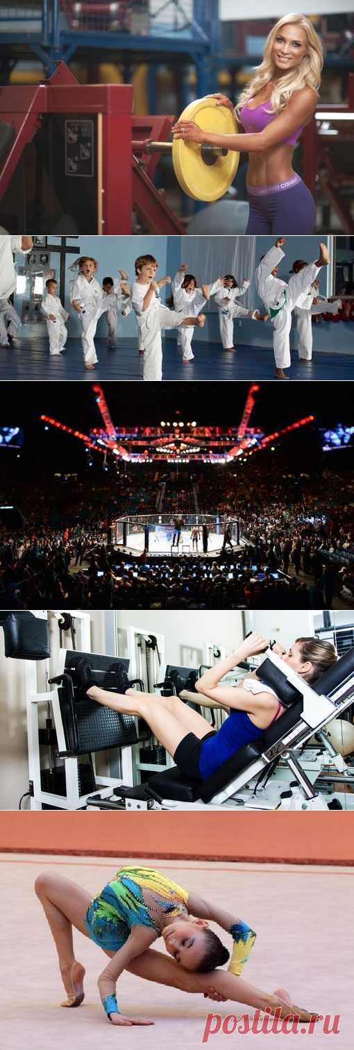 Теннис настольный, Подводный спорт, Скелетон, Подводное регби. (1/1) - Спортивный форум. - Спортивный сайт