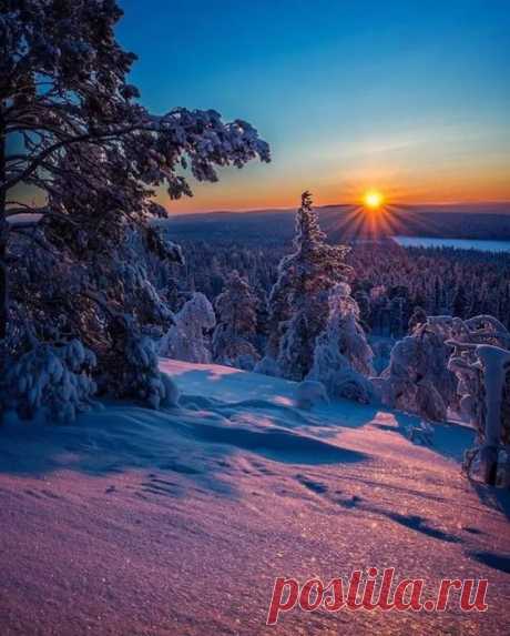 plus.google.com  |  Pinterest