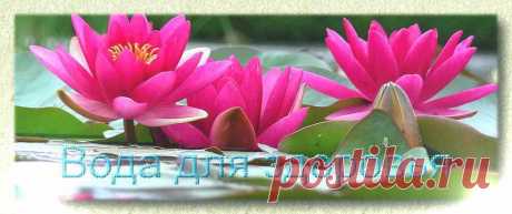 Форум водохлебов любителей :)