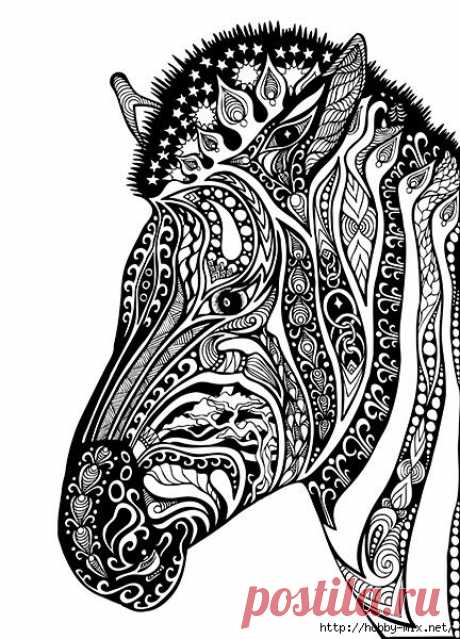 Horse- лошади(шаблон)
