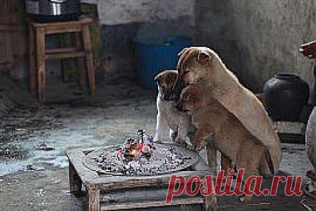 вместе теплее