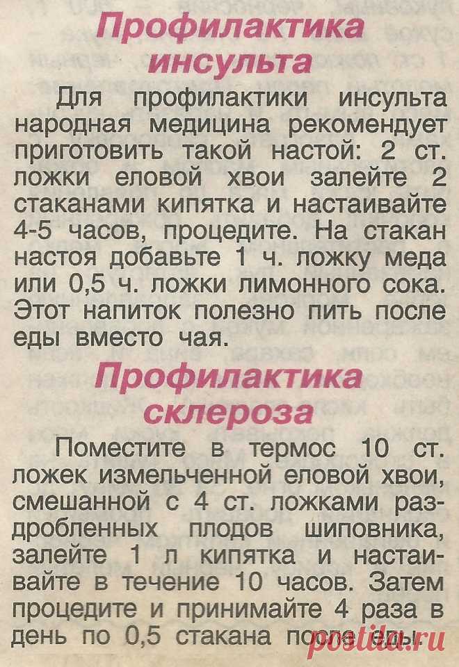 Профилактика инсульта. Профилактика склероза