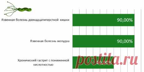 Лечение народными средствами хеликобактер пилори. Самые эффективные методы