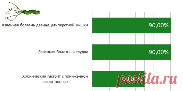 Лечение народными средствами хеликобактер пилори. Самые эффективные методы