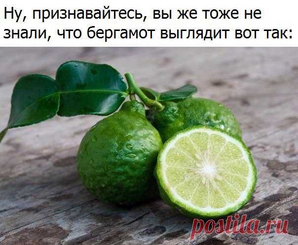 Интересный факт...