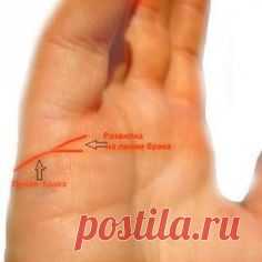 (48) Pinterest