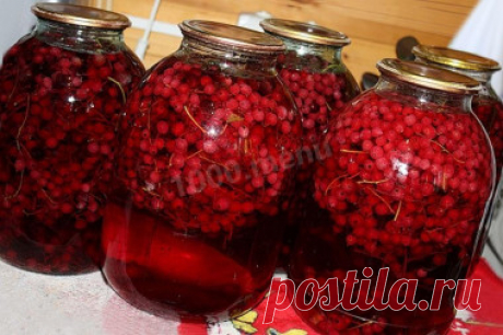Блюда с белой смородиной - 10 рецептов приготовления пошагово - 1000.menu