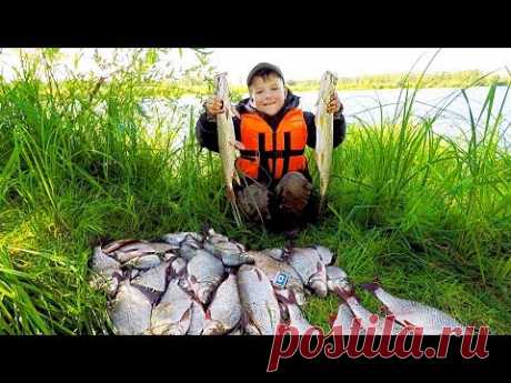 Август! Рыбалка на КОЛЬЦО! Работает ЛИЧИНКА! Отличный Улов -Первый день! р.Чулым!