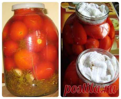 Соленые помидоры с сухой горчицей под капроновую крышку на зиму