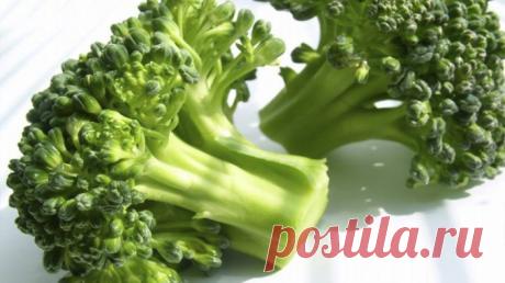 Брокколи — лечебные свойства — Умный совет