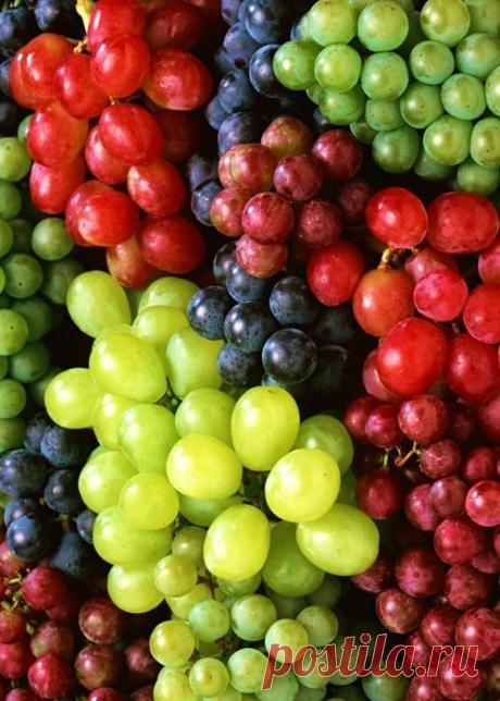 виноград