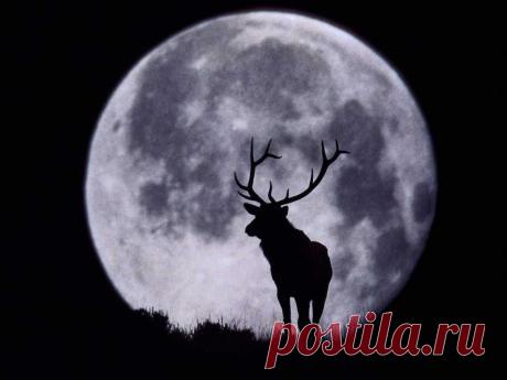 00115b52c3100bd5f41225.jpg (1024×768)