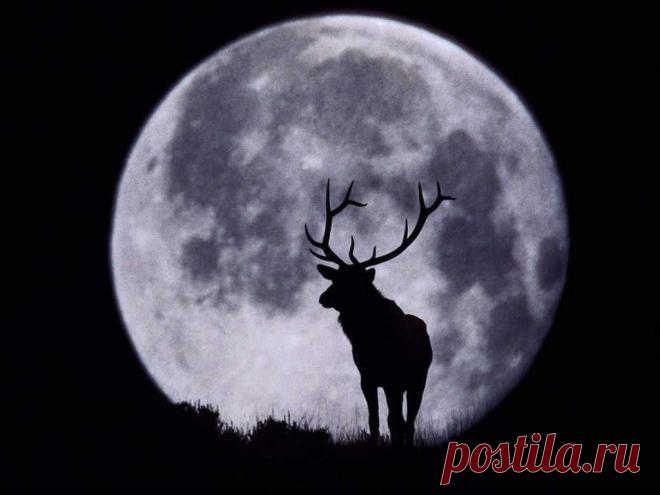 00115b52c3100bd5f41225.jpg (1024×768)